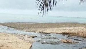 IMA notifica Prefeitura de Maceió e Casal por causa de línguas sujas em praias