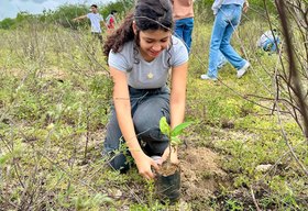 IMA/AL celebra Dia da Caatinga com plantio de mudas nativas em Ouro Branco