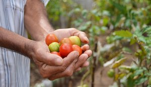 Secretaria vai adquirir produtos da agricultura familiar para abastecer hospitais