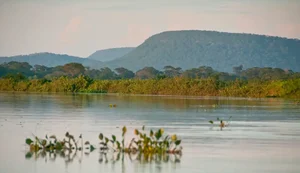 Cerrado brasileiro perdeu 13,9 milhões de hectares de margens de rios