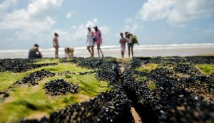 Ministro da Saúde diz que governo vai avaliar efeito do petróleo na cadeia alimentar