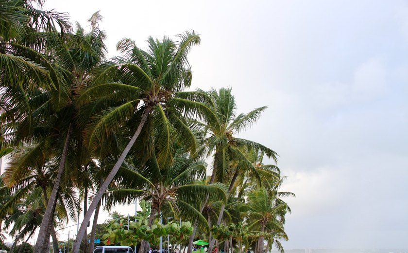 Inmet alerta para risco de vendaval e ventos costeiros  em cidades alagoanas