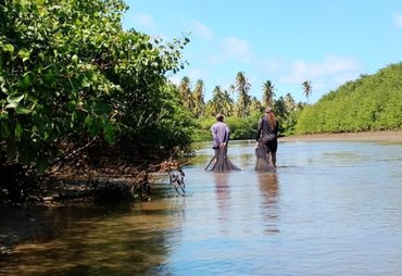 Peld Costa dos Corais realiza monitoramento de peixes em áreas berçário de Barra de Santo Antônio e Porto de Pedras