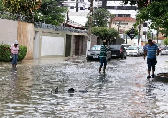Chuva causa queda de árvores, alagamentos e deslizamento de barreiras