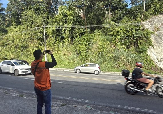 Defesa Civil de Maceió recomenda retirada de árvores em áreas de risco e próximas à rede elétrica