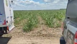 PC/AL começa a investigar caso de mulher encontrada morta perto do CT do CRB