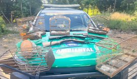 Polícia Militar apreende aves silvestres, armas e armadilhas de caça em Porto de Pedras