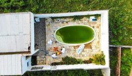 Homem morre depois de ser atacado por abelhas em Santana do Ipanema