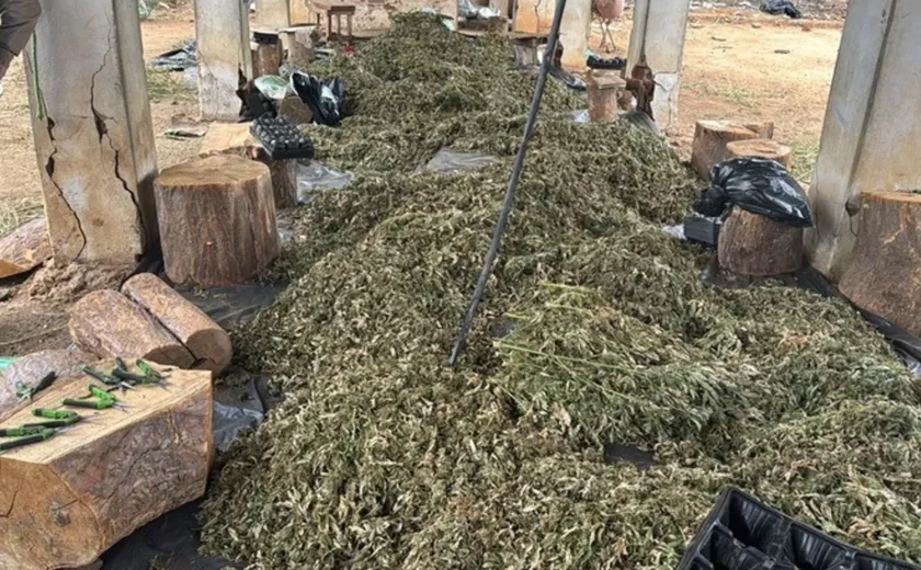 Operação da PF investiga esquema de tráfico de maconha com atuação em Alagoas