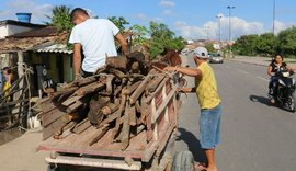 Fogueira: cresce procura por madeira