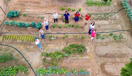 Hortas Urbanas unem a alimentação saudável ao combate à fome