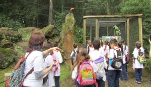 Como a viagem pedagógica pode ajudar no desenvolvimento dos alunos