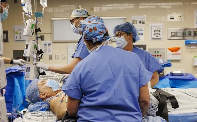 Rim de porco mantém paciente sem diálise por 271 dias após transplante