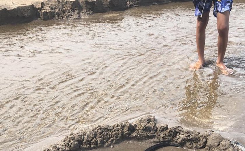 Vídeo: lontra é encontrada por populares na Praia do Patacho, em Porto de Pedras