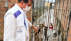 Vigilância Sanitária notifica abrigo de animais na parte alta da capital