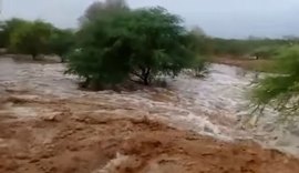 Chuvas no Sertão e Agreste de Alagoas ajudam no controle da seca