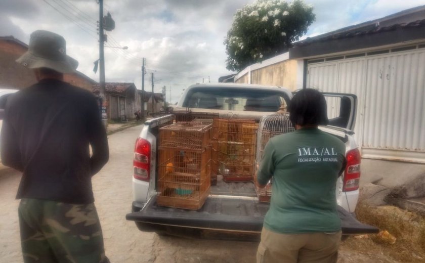 Operação Curupira 11 efetua cerca de R$ 90 mil em multas por crimes ambientais