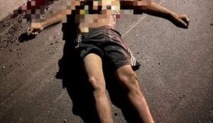 Pedestre morre após ser atropelado por um veículo de passeio na rodovia  AL-110