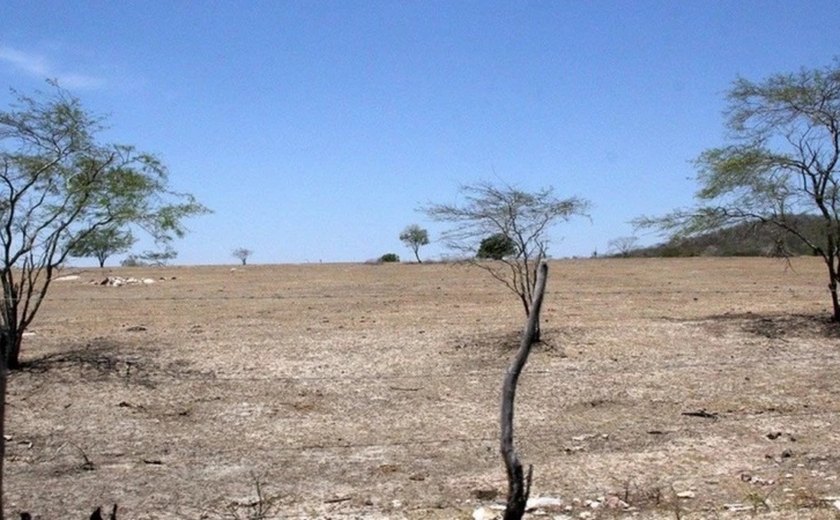 Alagoas recebe seminários para atualização do Plano Estadual de Combate à Desertificação