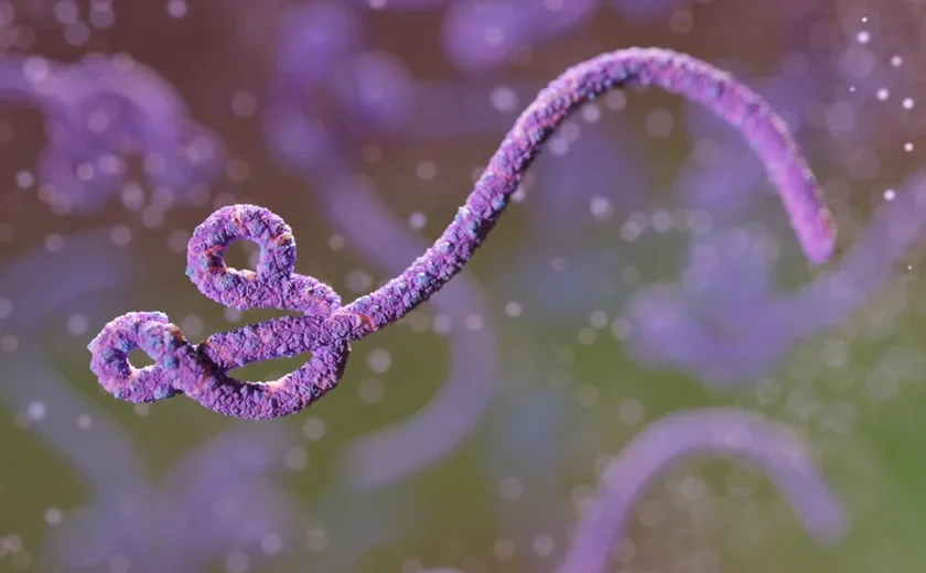 São Paulo investiga 2° caso suspeito de ebola em paciente de 31 anos