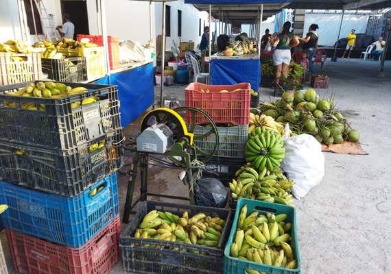 Feira Agroecológica Novo Jardim chega na cidade universitária, parte alta de Maceió