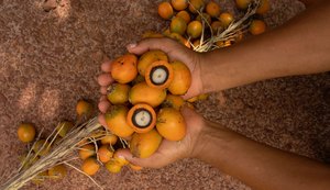 Natura detalha pela primeira vez estratégias financeiras e operacionais frente às mudanças climáticas