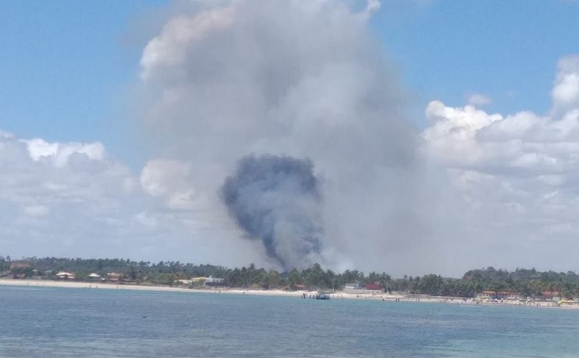 Alagoas já registra mais de 180 incêndios