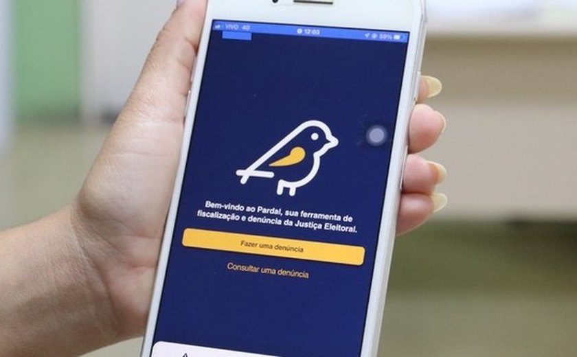 Pardal está no ar: aplicativo permite denunciar irregularidades de campanha