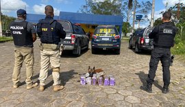 Operação entre PRF, DRN e 3⁰ BPM apreende 30 quilos de maconha na BR-101