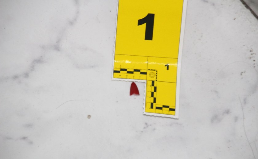 Veja como o trabalho da Polícia Científica ajudou a desvendar um feminicídio no Trapiche da Barra