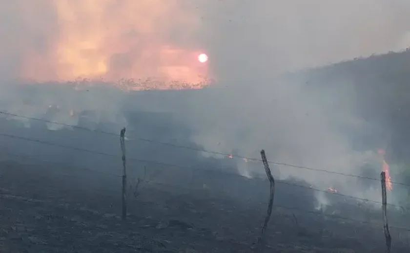 Alagoas registra mais de sete mil focos de incêndio em vegetações este ano