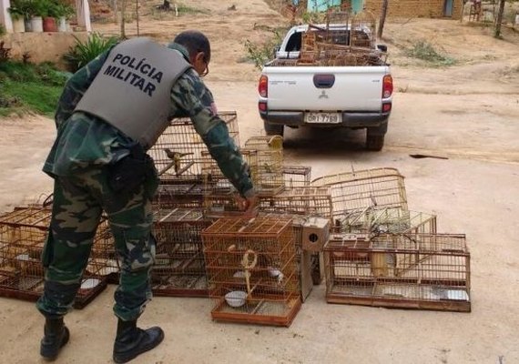 Soltura de centenas de aves e caranguejos ocorre na APA Costa dos Corais