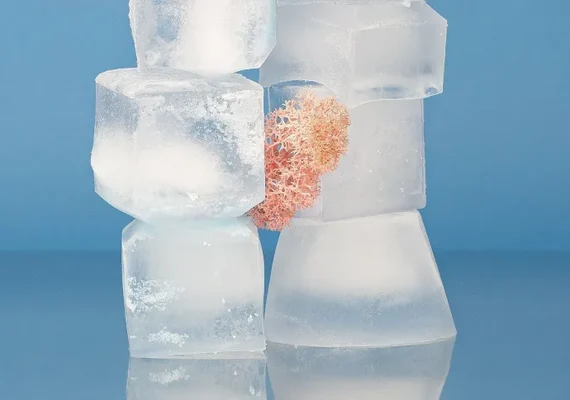 Pesquisadores desenvolvem novo tipo de gelo em laboratório