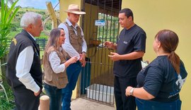 Canis e gatis em Viçosa marcam avanço do Programa de Apoio aos Animais