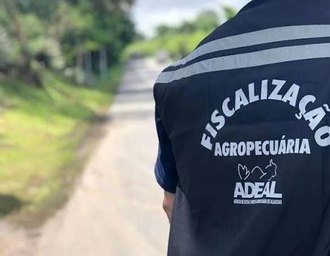 Governo cria comissão organizadora para concurso público da Adeal