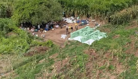 Operação da PF apreende 2 toneladas de maconha na divisa de Alagoas e Bahia