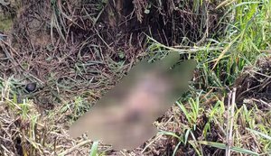 Corpo em avançado estado de decomposição é encontrado no Pilar