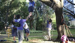 Organização não governamental WWF promove eventos em cinco cidades brasileiras