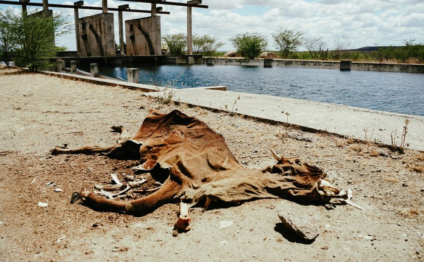 Canal do Sertão: abundância de água contrasta com a extrema pobreza