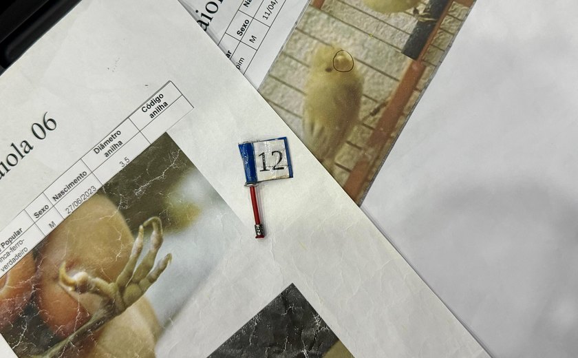 Peritos da Polícia Científica concluem capacitação em gestão e fiscalização de aves passeriformes