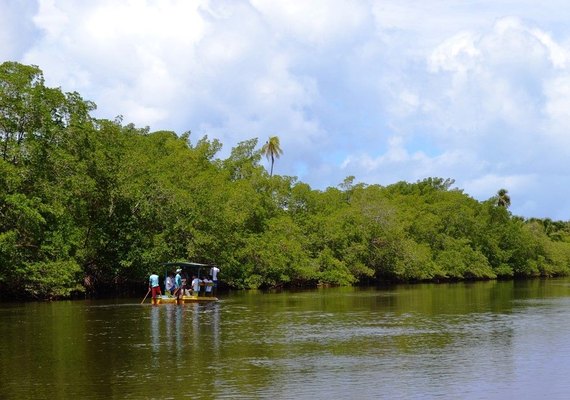O potencial dos rios Tatuamunha e Manguaba