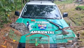 Após denúncia anônima, PM flagra arma e aves silvestres em cativeiro em Passo do Camaragibe