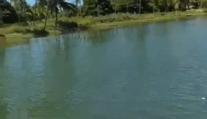 Corpo de Bombeiros retoma buscas por homem que pulou de catamarã e desapareceu em Marechal Deodoro