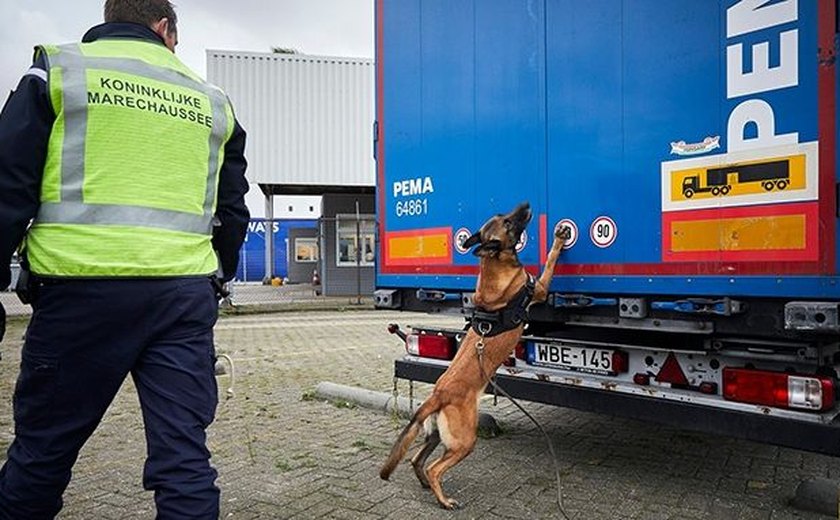 Dezesseis migrantes são encontrados em caminhão na Holanda