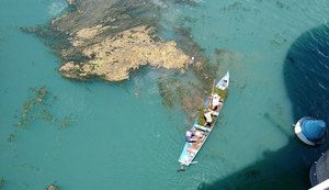 Baixo São Francisco sofre com invasão de plantas aquáticas