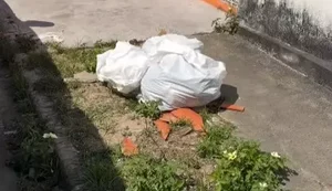 Recém-nascido é encontrado morto dentro de sacola de lixo em Delmiro Gouveia