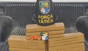 Operação conjunta entre PMs de AL e SE prende homem foragido e apreende 25 kg de maconha