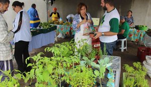Feira Orgânica terá mais uma edição neste domingo (5)