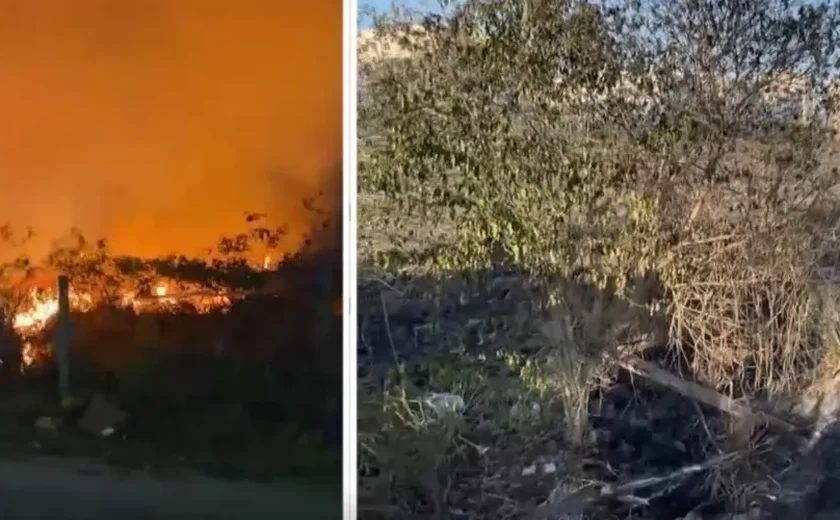 Incêndio de grandes proporções atinge terreno próximo a shopping em Maceió