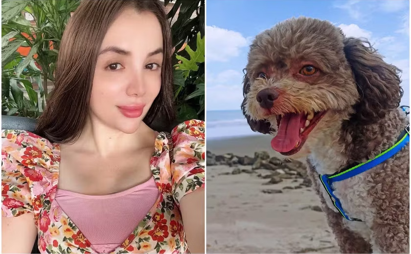 Advogada morre ao proteger cachorro durante terremoto na Colômbia